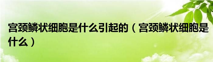 宫颈鳞状细胞是什么引起的（宫颈鳞状细胞是什么）