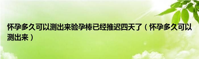 怀孕多久可以测出来验孕棒已经推迟四天了（怀孕多久可以测出来）