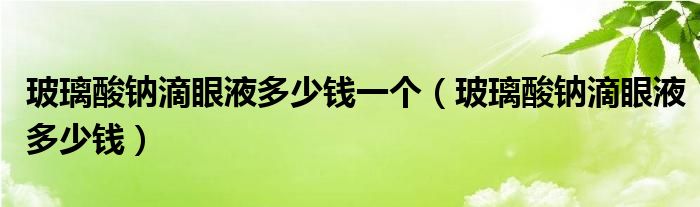 玻璃酸钠滴眼液多少钱一个（玻璃酸钠滴眼液多少钱）