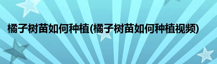 橘子树苗如何种植(橘子树苗如何种植视频)