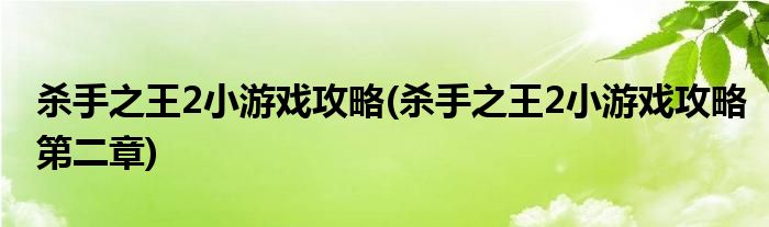 杀手之王2小游戏攻略(杀手之王2小游戏攻略第二章)