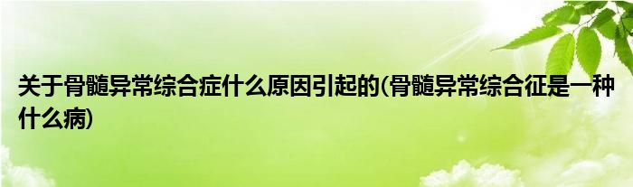 关于骨髓异常综合症什么原因引起的(骨髓异常综合征是一种什么病)