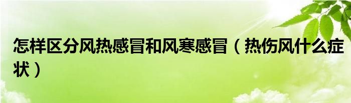 怎样区分风热感冒和风寒感冒（热伤风什么症状）