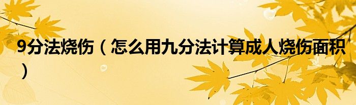 9分法烧伤（怎么用九分法计算成人烧伤面积）