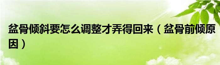 盆骨倾斜要怎么调整才弄得回来（盆骨前倾原因）