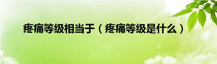 疼痛等级相当于（疼痛等级是什么）