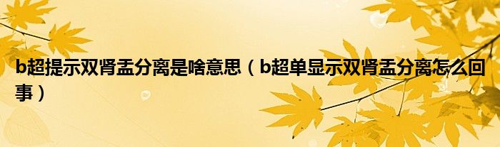 b超提示双肾盂分离是啥意思（b超单显示双肾盂分离怎么回事）