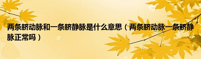 两条脐动脉和一条脐静脉是什么意思（两条脐动脉一条脐静脉正常吗）