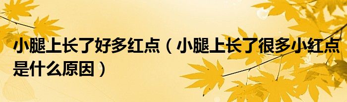 小腿上长了好多红点（小腿上长了很多小红点是什么原因）