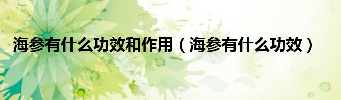 海参有什么功效和作用（海参有什么功效）