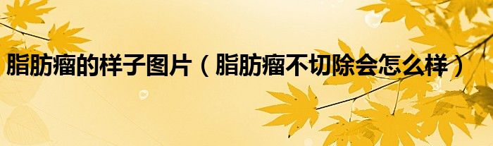脂肪瘤的样子图片（脂肪瘤不切除会怎么样）