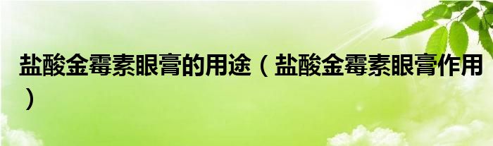 盐酸金霉素眼膏的用途（盐酸金霉素眼膏作用）