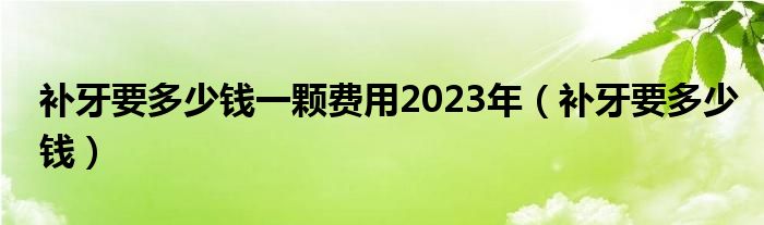 补牙要多少钱一颗费用2023年（补牙要多少钱）