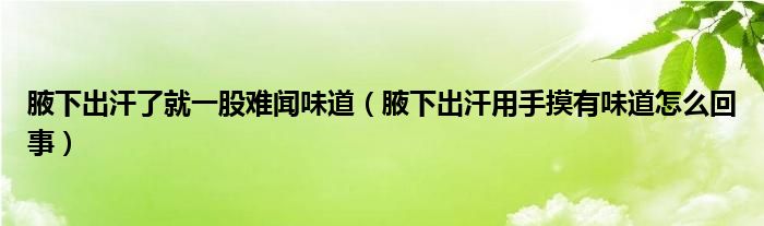 腋下出汗了就一股难闻味道（腋下出汗用手摸有味道怎么回事）