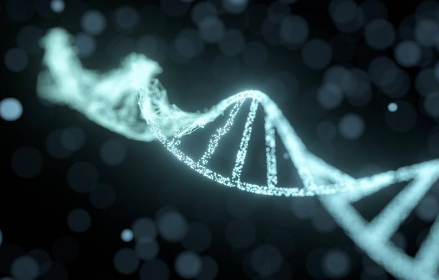 MAbID 深入研究染色质动力学和基因调控