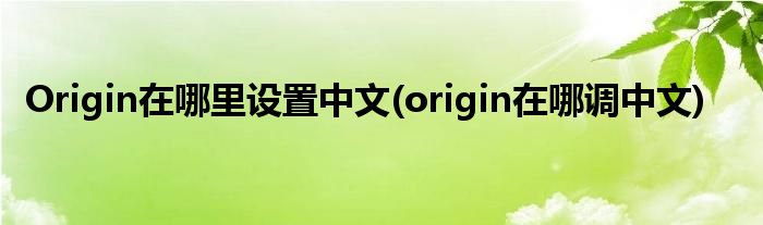 Origin在哪里设置中文(origin在哪调中文)