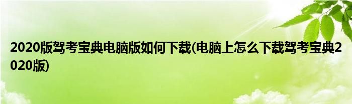 2020版驾考宝典电脑版如何下载(电脑上怎么下载驾考宝典2020版)