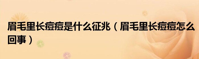 眉毛里长痘痘是什么征兆（眉毛里长痘痘怎么回事）