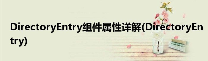 DirectoryEntry组件属性详解(DirectoryEntry)