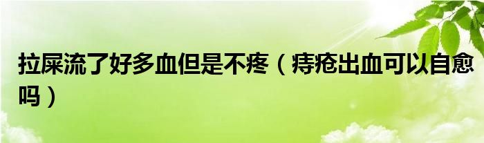 拉屎流了好多血但是不疼（痔疮出血可以自愈吗）