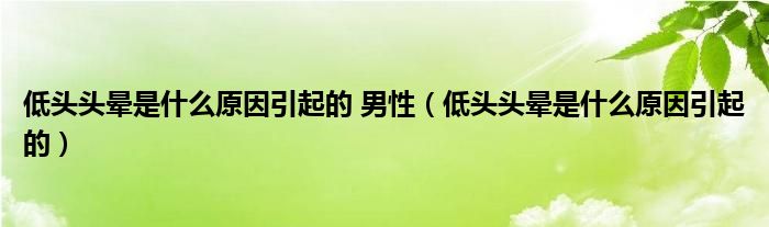 低头头晕是什么原因引起的 男性（低头头晕是什么原因引起的）