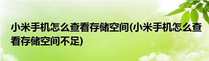 小米手机怎么查看存储空间(小米手机怎么查看存储空间不足)