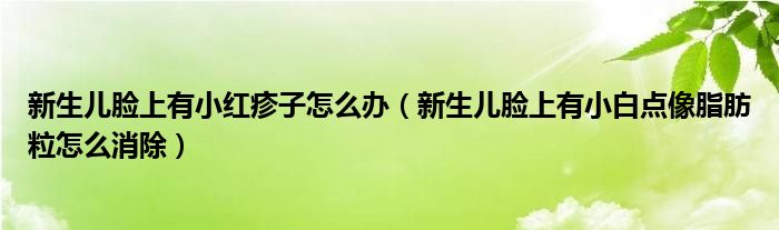新生儿脸上有小红疹子怎么办（新生儿脸上有小白点像脂肪粒怎么消除）