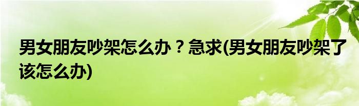 男女朋友吵架怎么办？急求(男女朋友吵架了该怎么办)