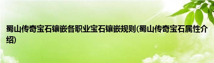 蜀山传奇宝石镶嵌各职业宝石镶嵌规则(蜀山传奇宝石属性介绍)
