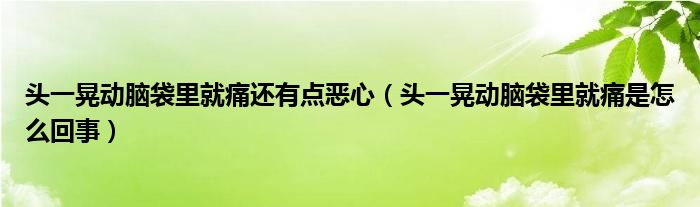 头一晃动脑袋里就痛还有点恶心（头一晃动脑袋里就痛是怎么回事）