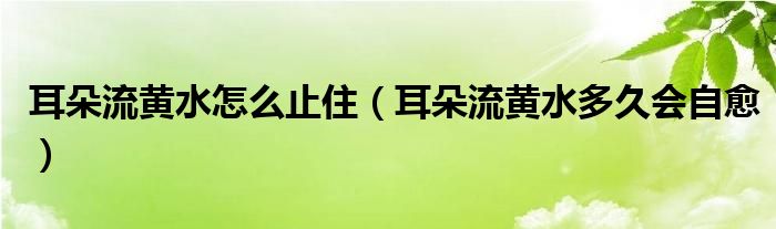 耳朵流黄水怎么止住（耳朵流黄水多久会自愈）