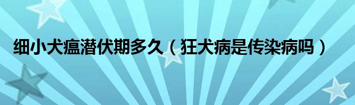 细小犬瘟潜伏期多久（狂犬病是传染病吗）