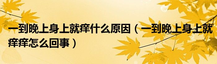 一到晚上身上就痒什么原因（一到晚上身上就痒痒怎么回事）