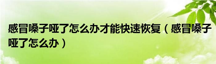 感冒嗓子哑了怎么办才能快速恢复（感冒嗓子哑了怎么办）