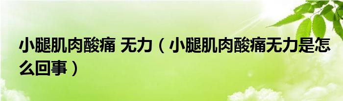 小腿肌肉酸痛 无力（小腿肌肉酸痛无力是怎么回事）