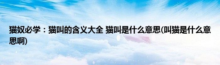 猫奴必学:猫叫的含义大全 猫叫是什么意思(叫猫是什么意思啊)