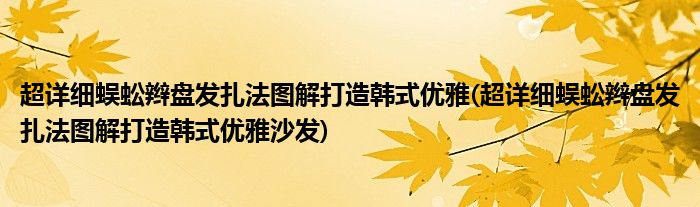 超详细蜈蚣辫盘发扎法图解打造韩式优雅(超详细蜈蚣辫盘发扎法图解打造韩式优雅沙发)
