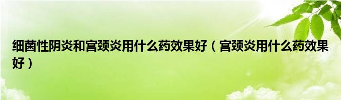 细菌性阴炎和宫颈炎用什么药效果好（宫颈炎用什么药效果好）
