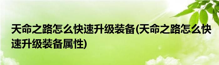 天命之路怎么快速升级装备(天命之路怎么快速升级装备属性)