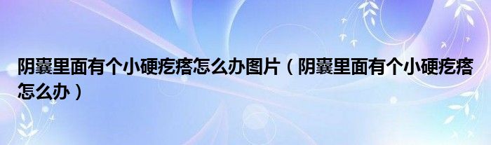 阴囊里面有个小硬疙瘩怎么办图片（阴囊里面有个小硬疙瘩怎么办）