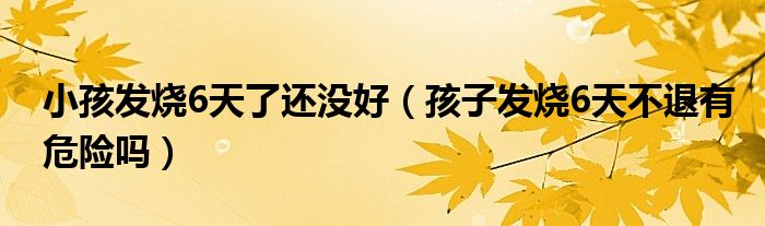 小孩发烧6天了还没好（孩子发烧6天不退有危险吗）