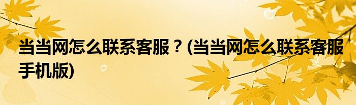 当当网怎么联系客服？(当当网怎么联系客服手机版)