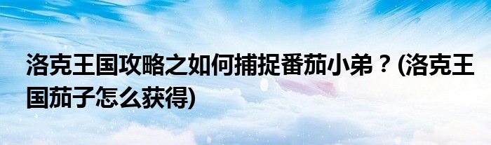 洛克王国攻略之如何捕捉番茄小弟？(洛克王国茄子怎么获得)