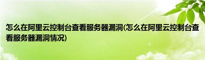 怎么在阿里云控制台查看服务器漏洞(怎么在阿里云控制台查看服务器漏洞情况)