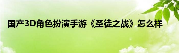 国产3D角色扮演手游《圣徒之战》怎么样