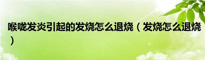 喉咙发炎引起的发烧怎么退烧（发烧怎么退烧）