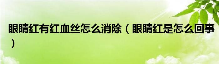 眼睛红有红血丝怎么消除（眼睛红是怎么回事）