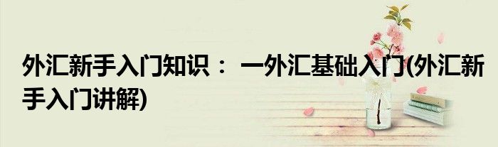 外汇新手入门知识： 一外汇基础入门(外汇新手入门讲解)