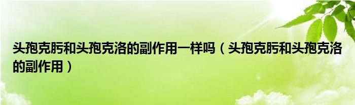 头孢克肟和头孢克洛的副作用一样吗（头孢克肟和头孢克洛的副作用）