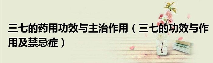 三七的药用功效与主治作用（三七的功效与作用及禁忌症）